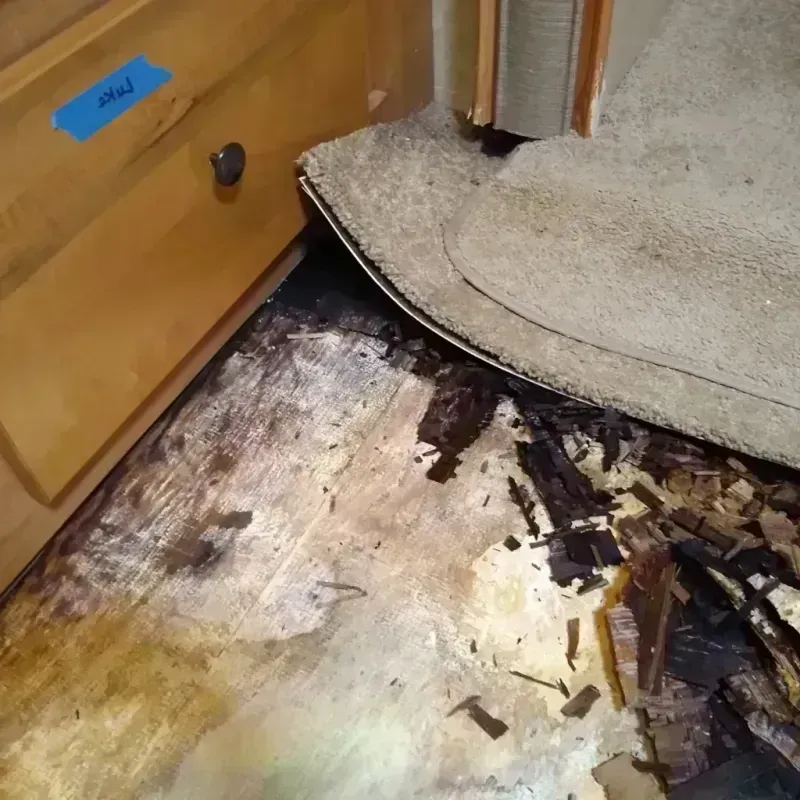 Wood Floor Water Damage in Palm Harbor, FL